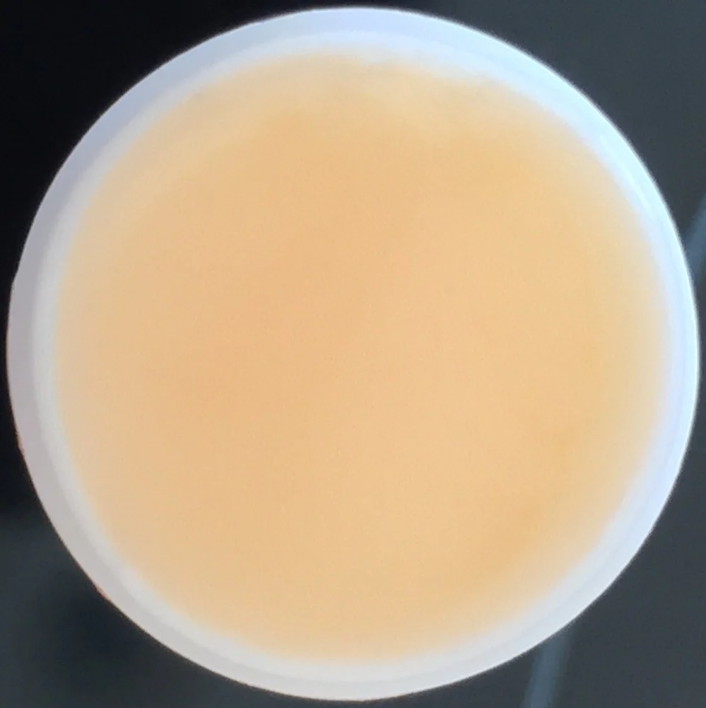 Orange Vanilla Flavored Lip Balm Kissing Stick - Image 3